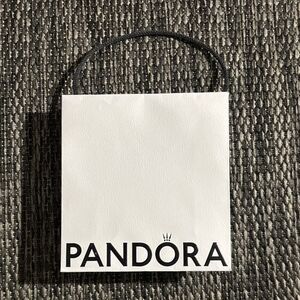 Pandora gift bag